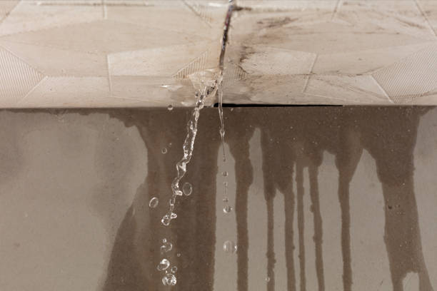 Professional Burst Pipe Cleanup technician working in Allison Park, PA